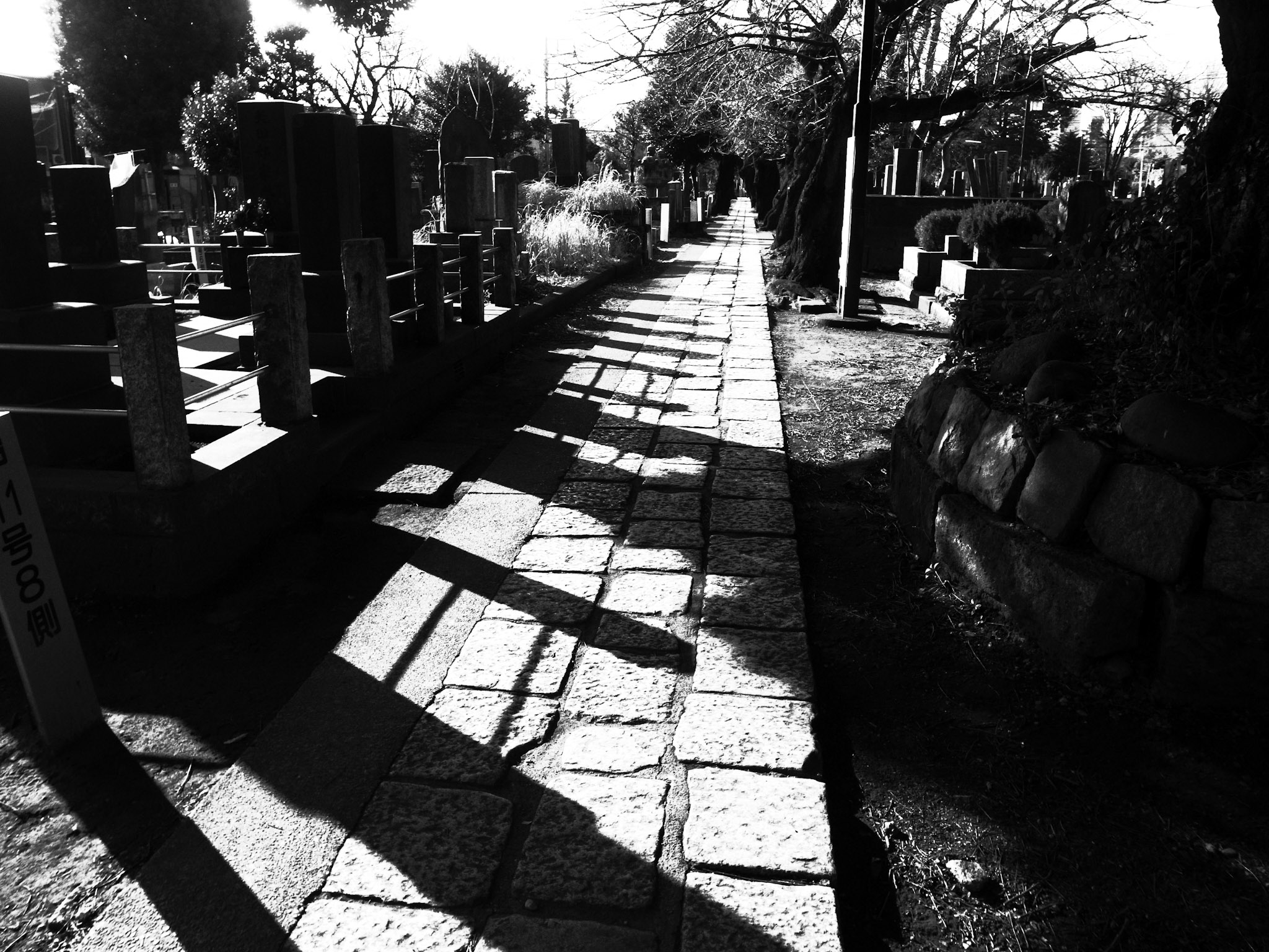 Yanaka Cemetery, Nippori